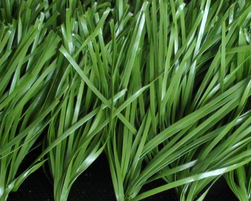 足球场人造草坪-MT-50mm橄榄绿单丝草